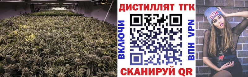 Дистиллят ТГК жижа Купить закладки Дигора