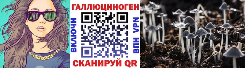 Псилоцибиновые грибы Psilocybe  Купить где  Дигора 